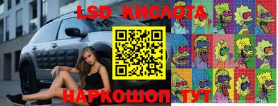 скорость Новозыбков