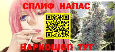 скорость Новозыбков