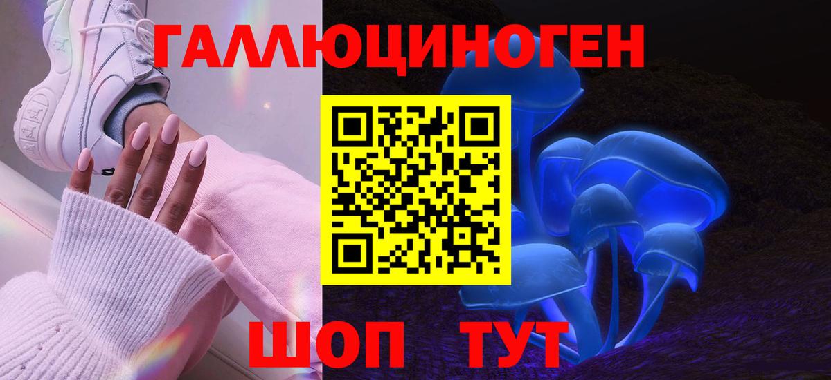 Галлюциногенные грибы Psilocybine cubensis Углич