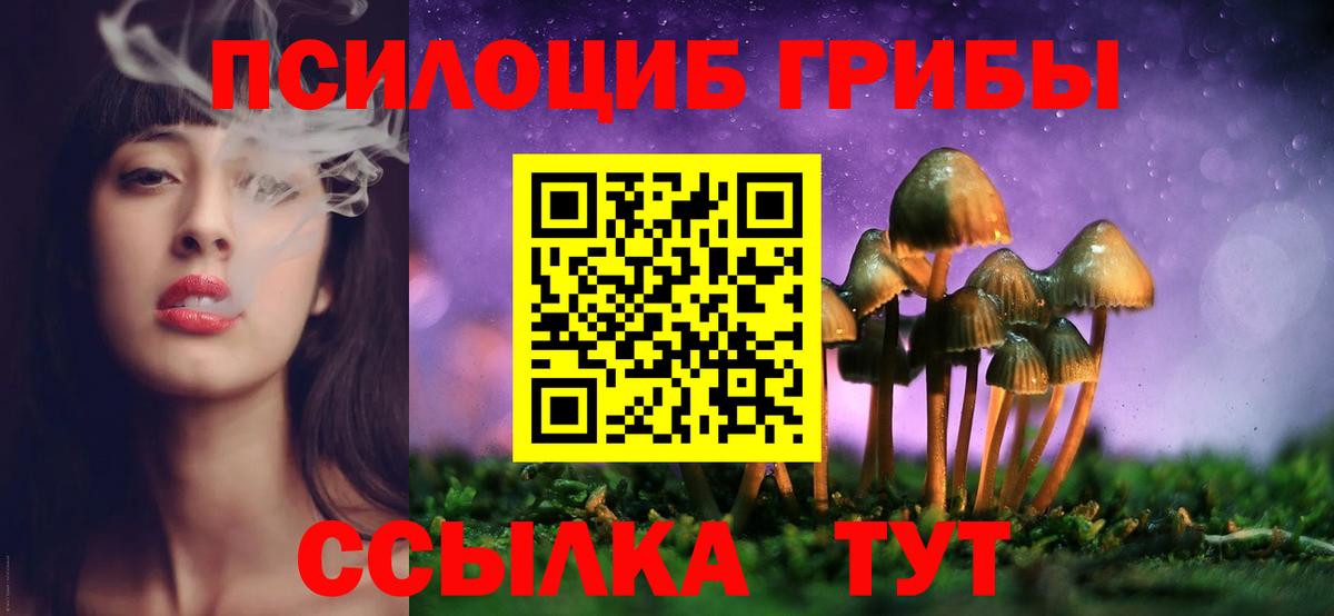 Галлюциногенные грибы прущие грибы  Галлюциногенные грибы мицелий  Углич  Вход с VPN 